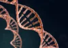 Câncer hereditário: quando o histórico familiar exige atenção