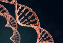 Câncer hereditário: quando o histórico familiar exige atenção