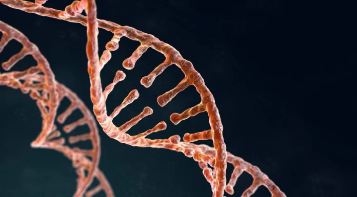 Câncer hereditário: quando o histórico familiar exige atenção