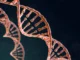 Câncer hereditário: quando o histórico familiar exige atenção