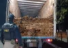 Polícia Rodoviária Federal apreende caminhão com carga de madeira ilegal na BR-116