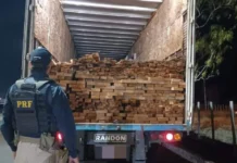 Polícia Rodoviária Federal apreende caminhão com carga de madeira ilegal na BR-116