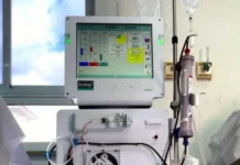 Fim da hemodiálise? Cientistas descobrem como regenerar rins danificados e dão novo passo rumo a tratamento